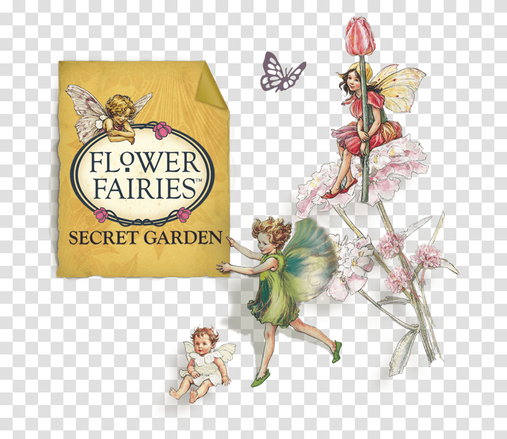 Fairy Images Flower Fairies, Person, Plant Transparent Png