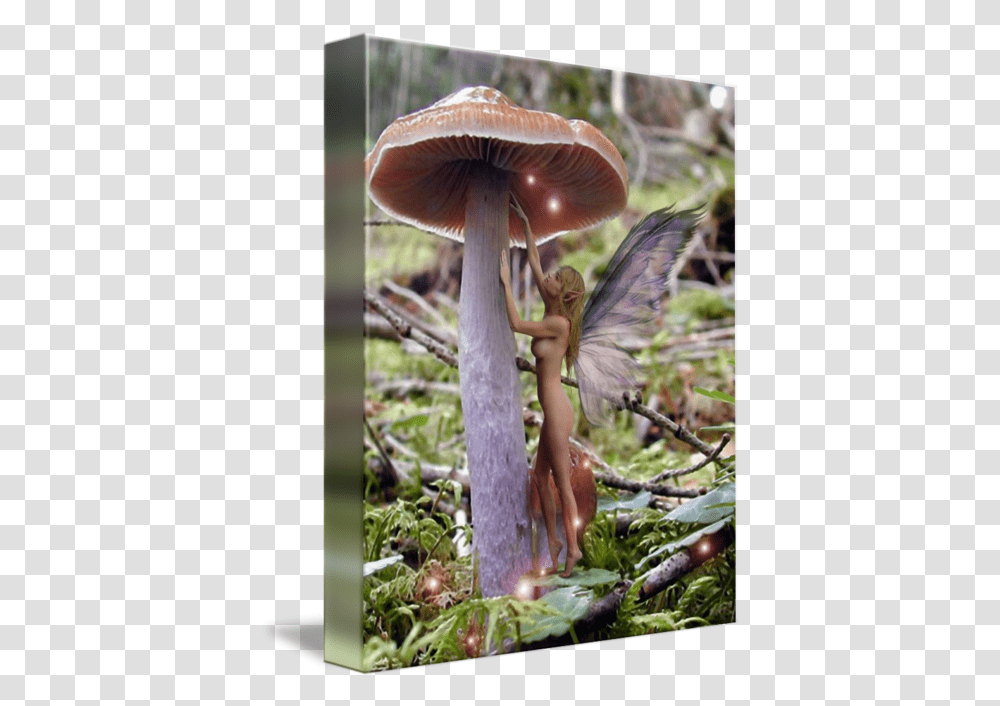 Fairy Lights By Michel Savage Fairy, Fungus, Plant, Agaric, Mushroom Transparent Png