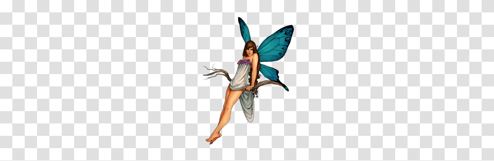 Fairy, Person, Human, Costume Transparent Png