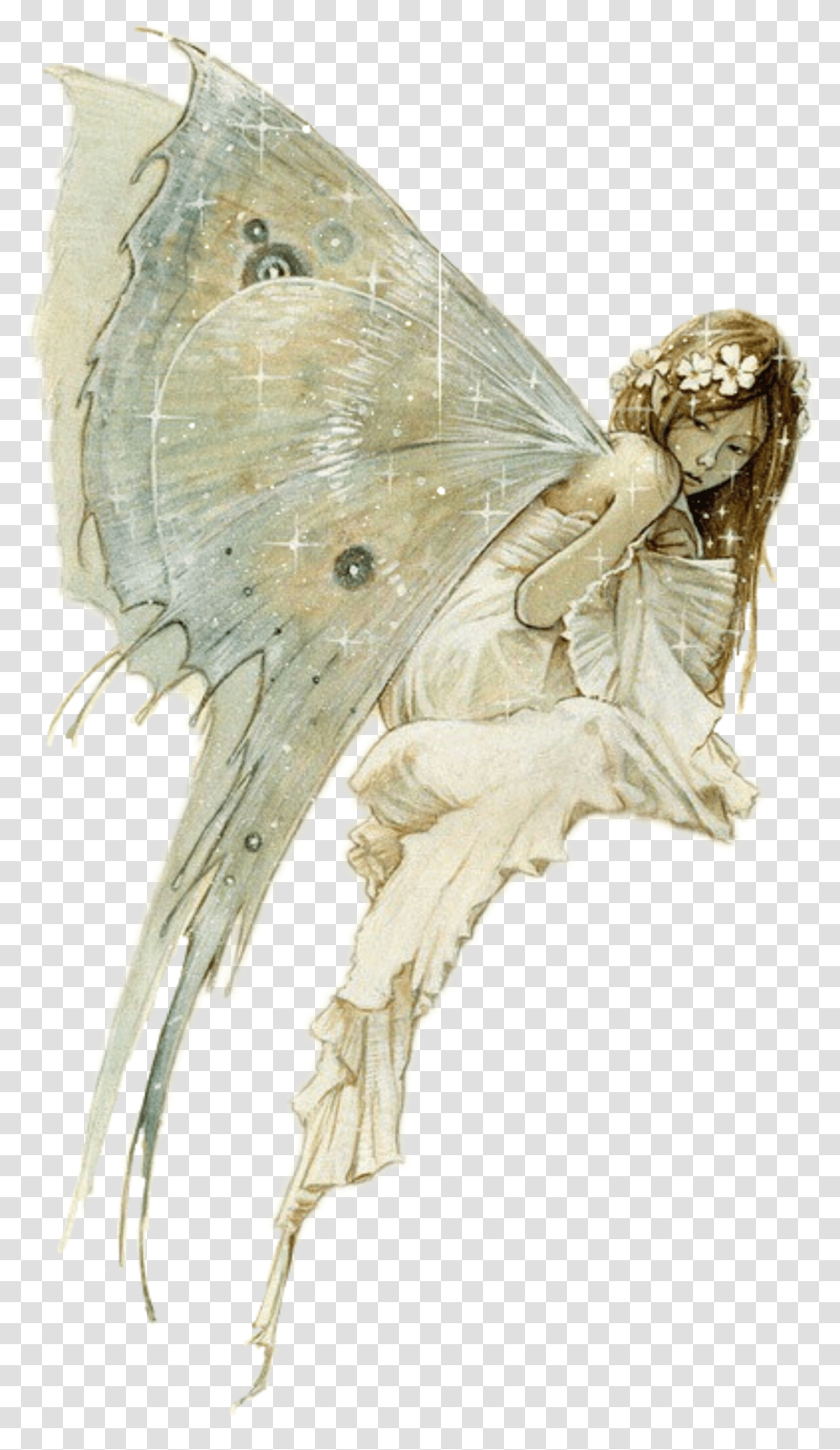 Fairy Sketch Brian Froud Fairy Transparent Png