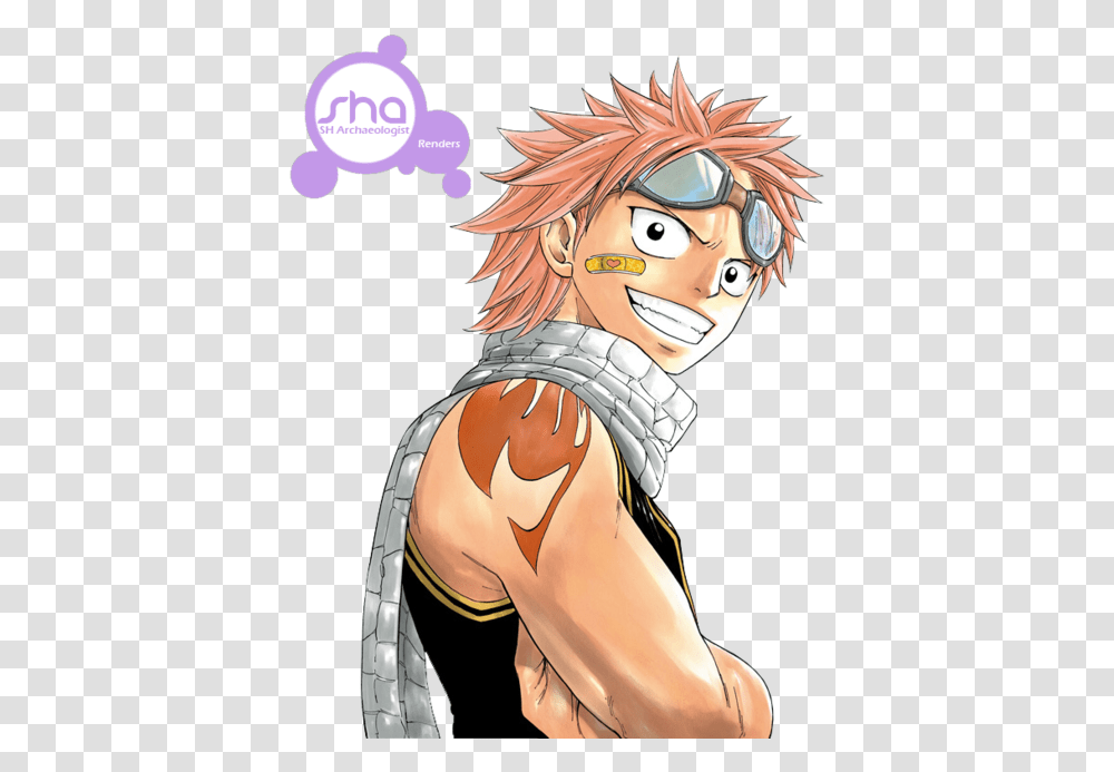 Fairy Tail Natsu, Comics, Book, Manga, Person Transparent Png