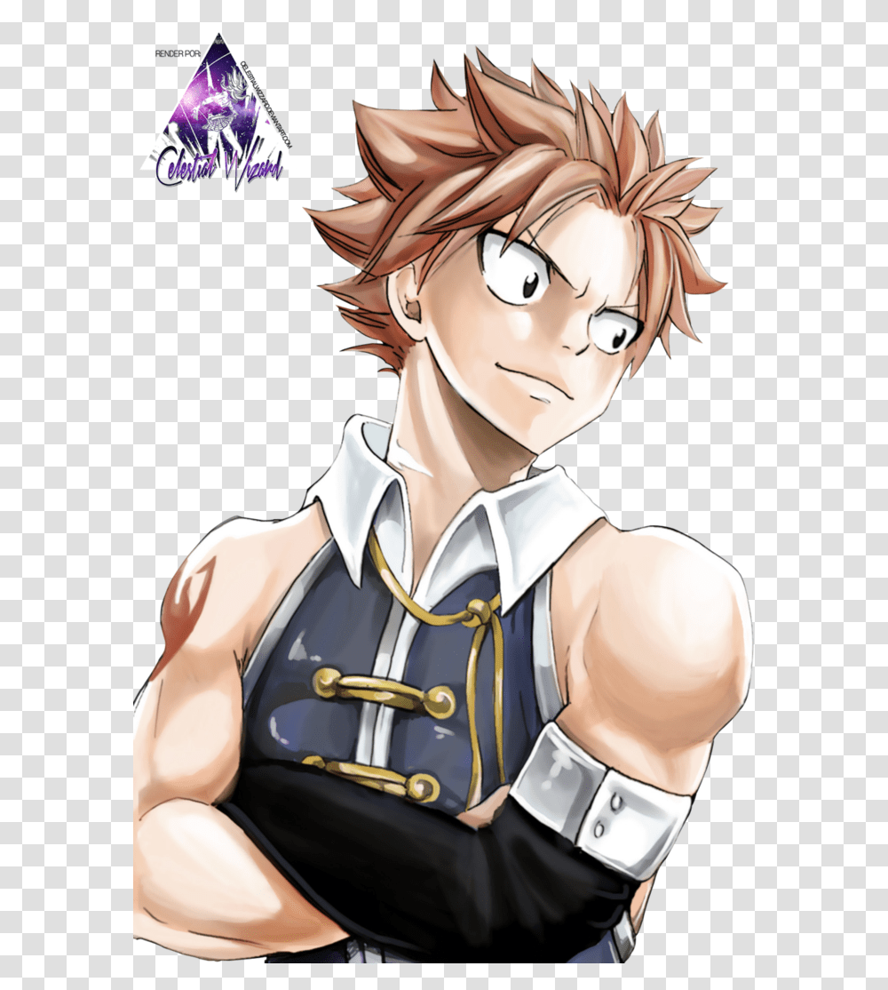 Fairy Tail Render By Celestialwizzard On Natsu X Lucy Hiro Mashima, Manga, Comics, Book, Person Transparent Png