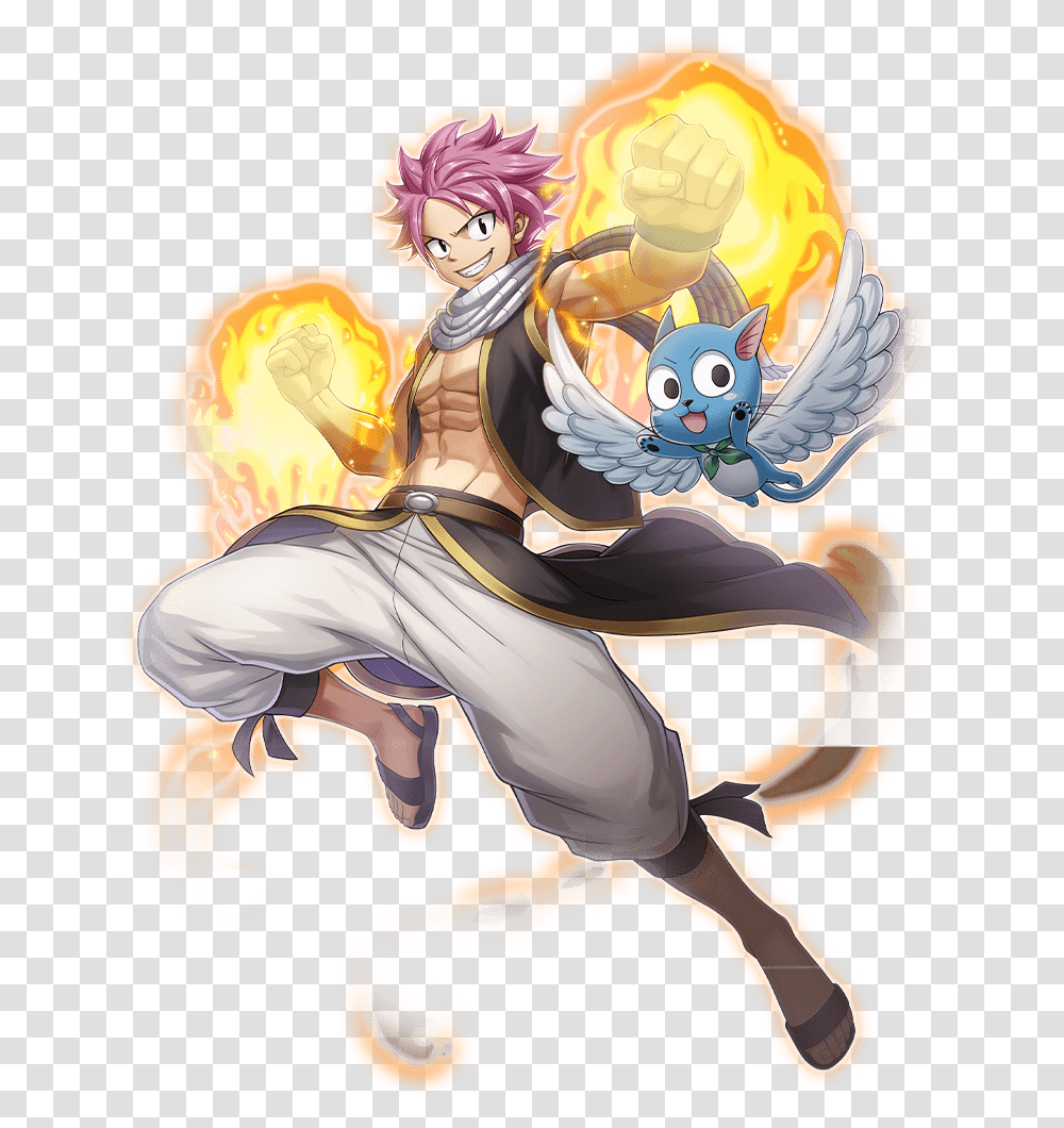 Fairy Tail Valkyrie Connect, Person, Animal, Manga Transparent Png