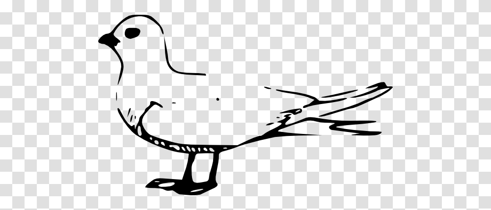Fairy Tern Clip Art, Animal, Bird, Stencil Transparent Png