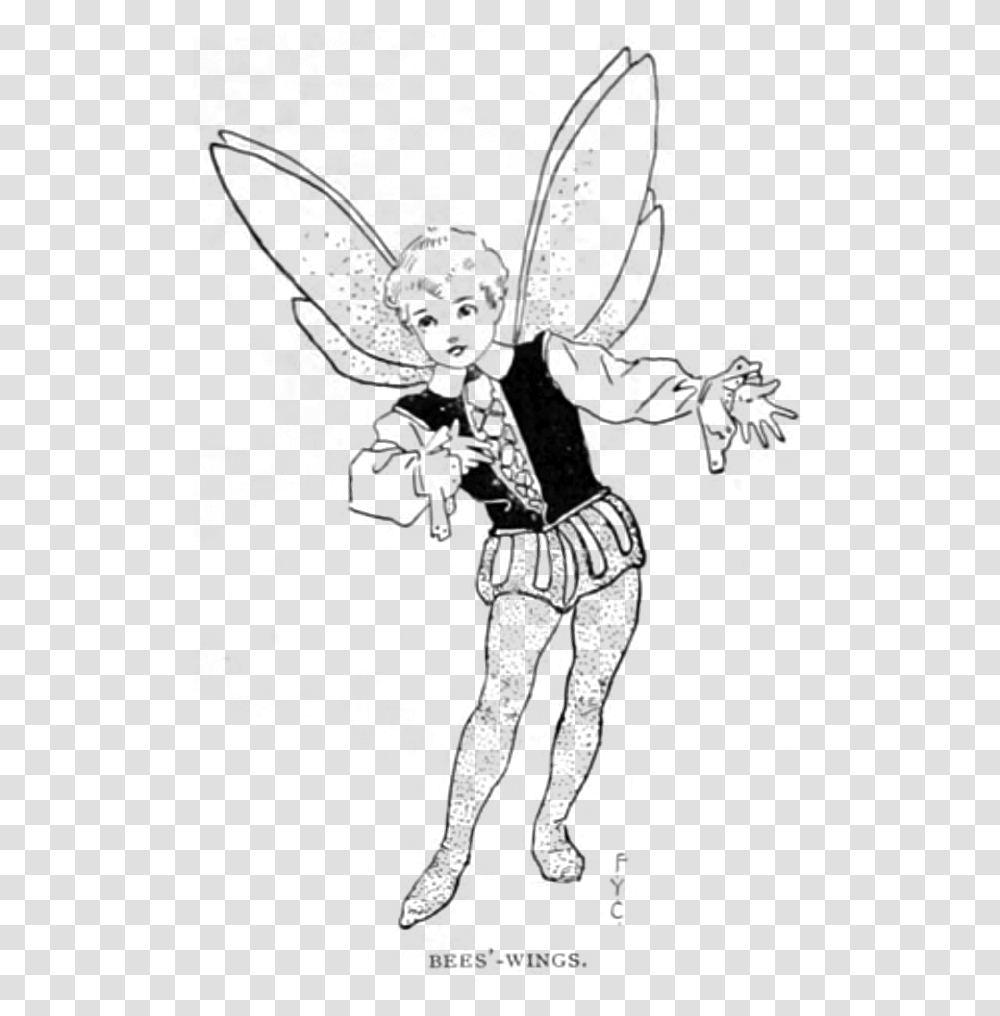 Fairy Wing, Gray, Outdoors Transparent Png