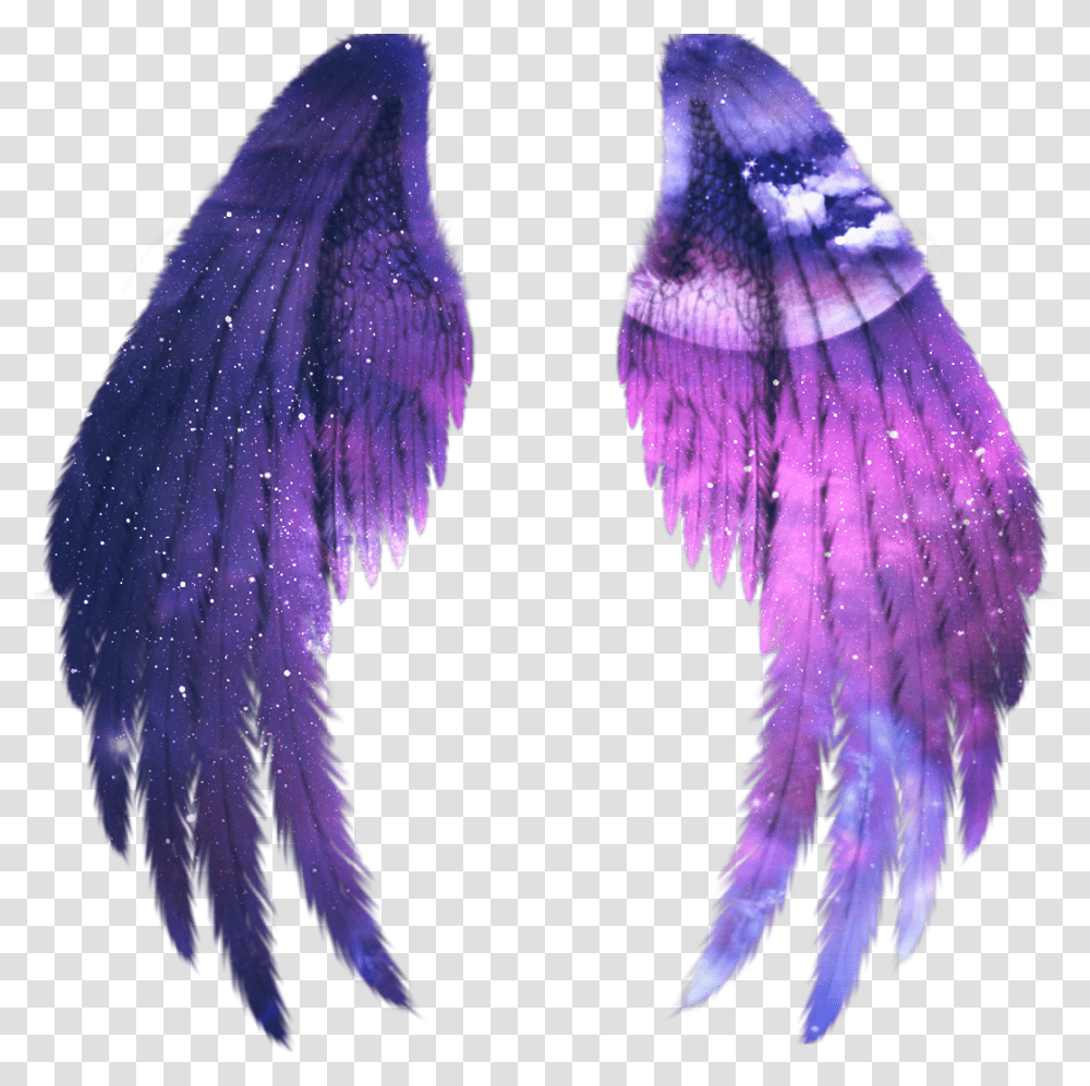 Fairy Wing Wings Galaxy Alas Fairy Gold Angel Angel Wings In Picsart, Clothing, Purple, Animal, Sea Life Transparent Png
