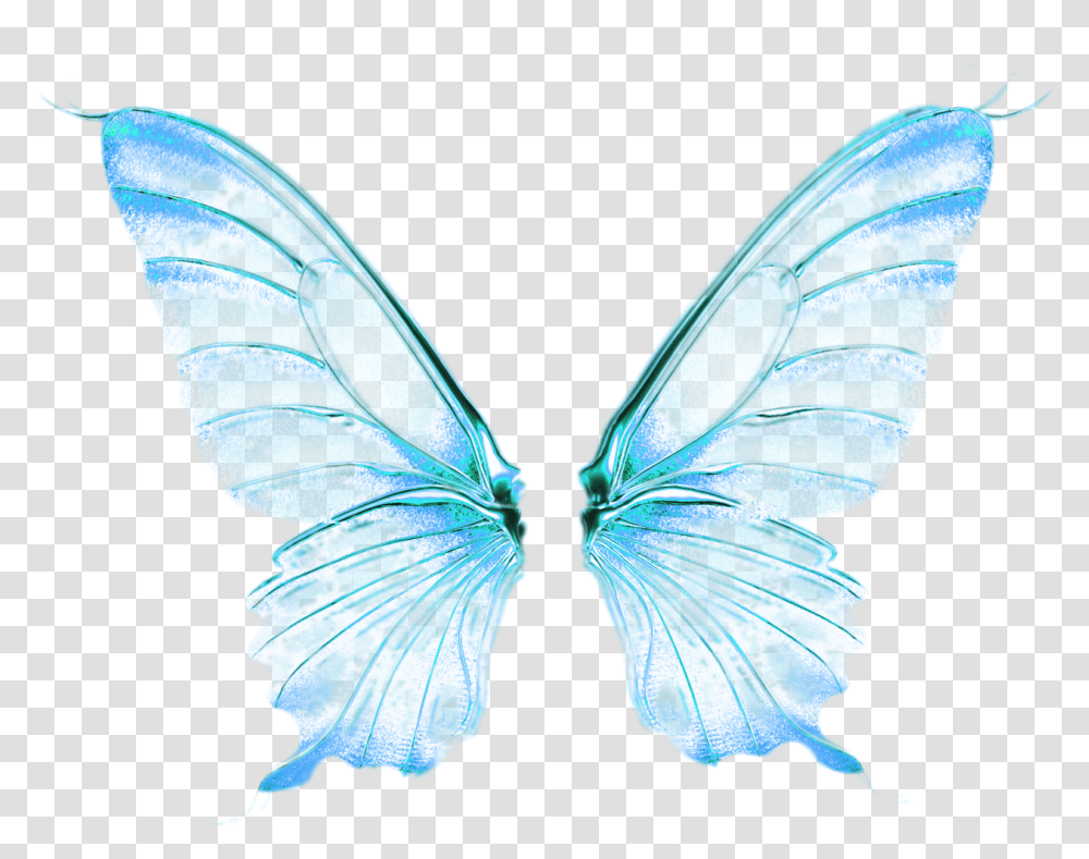 Fairy Wings 0 14c891 59efcec6 Orig Wings Angel Butterfly, Animal, Invertebrate, Person, Human Transparent Png