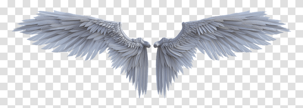 Fairy Wings, Bird, Animal, Angel Transparent Png