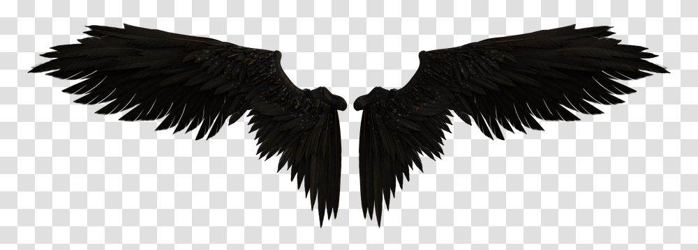 Fairy Wings, Bird, Animal, Eagle Transparent Png