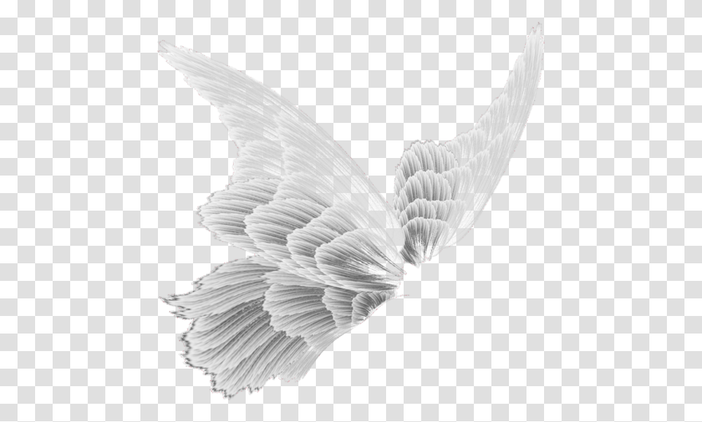 Fairy Wings, Bird, Animal, Flying Transparent Png