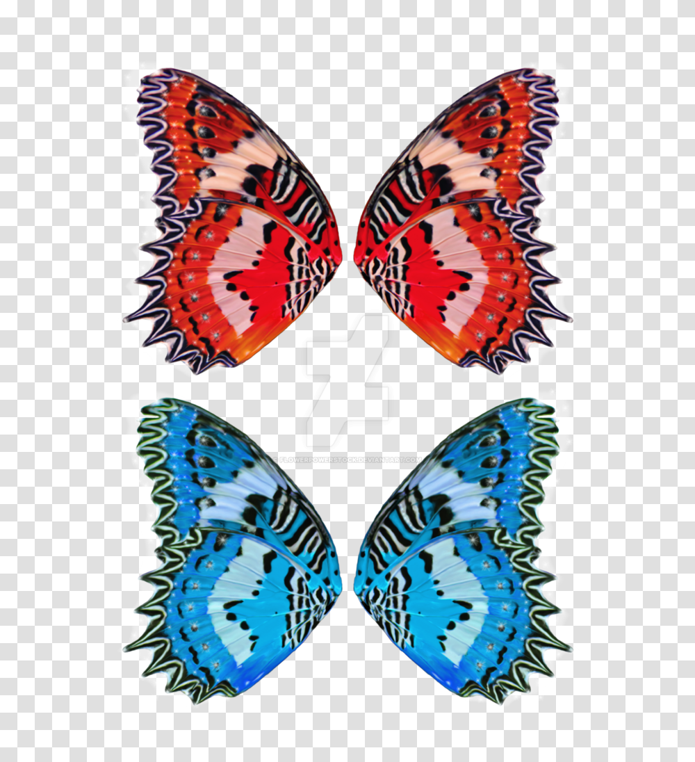 Fairy Wings, Butterfly, Insect, Invertebrate, Animal Transparent Png