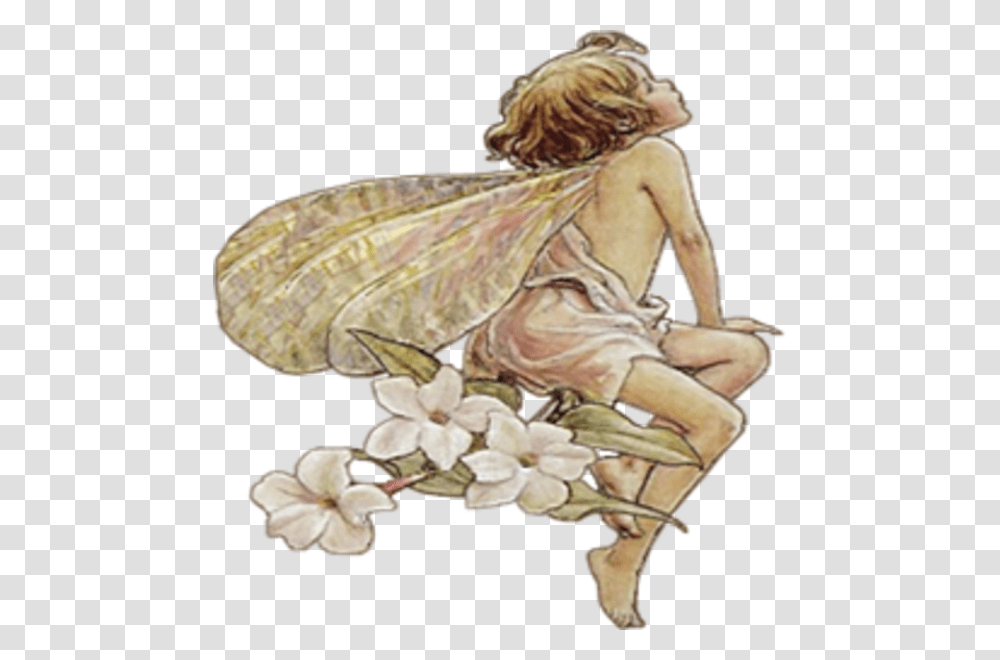 Fairy Wings Clipart Public Domain Flower Fairy, Insect, Invertebrate, Animal, Person Transparent Png