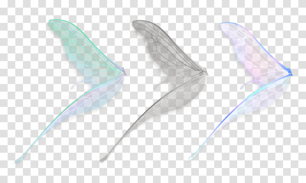 Fairy Wings, Fantasy, Animal, Sea Life, Snake Transparent Png