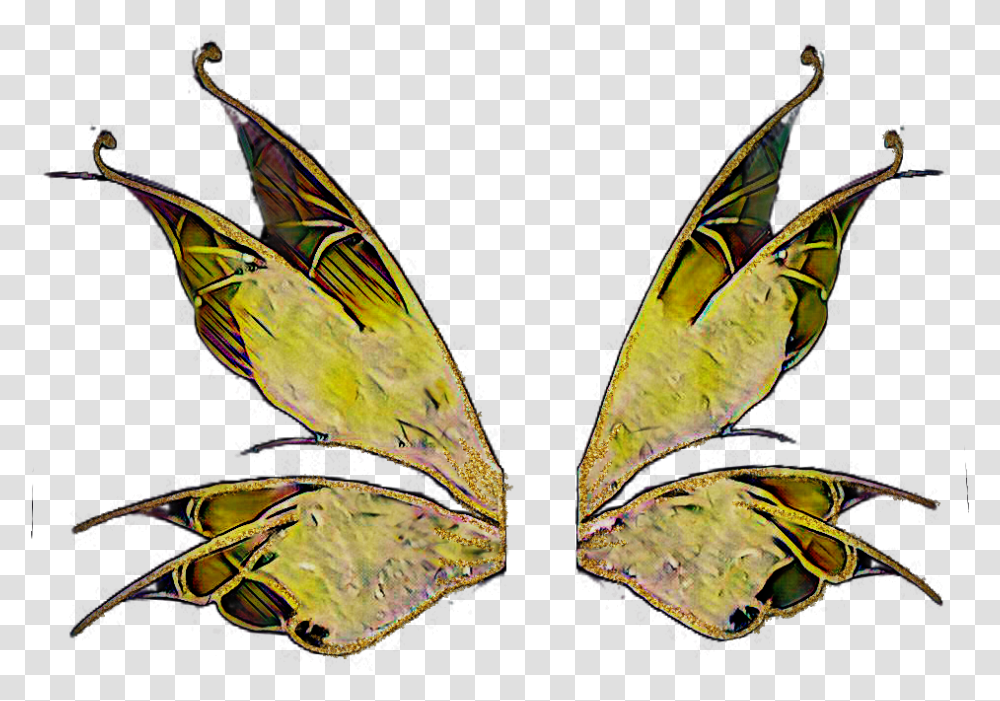 Fairy Wings Fantasy Fairytale Butterfly, Animal, Bird, Insect, Invertebrate Transparent Png