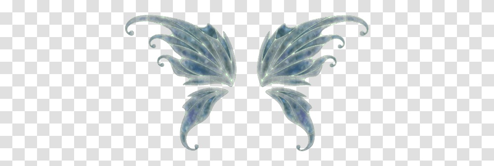 Fairy Wings, Fantasy, Leaf, Plant, Sea Life Transparent Png