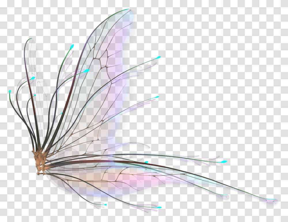 Fairy Wings Hd, Fantasy, Bird, Animal, Invertebrate Transparent Png