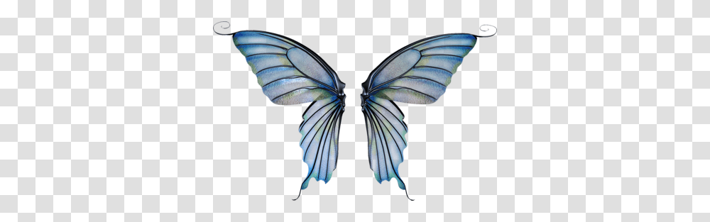 Fairy Wings Image, Fantasy, Staircase, Animal Transparent Png