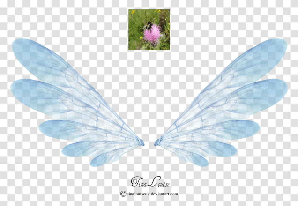 Fairy Wings Pink, Bird, Animal, Ornament Transparent Png