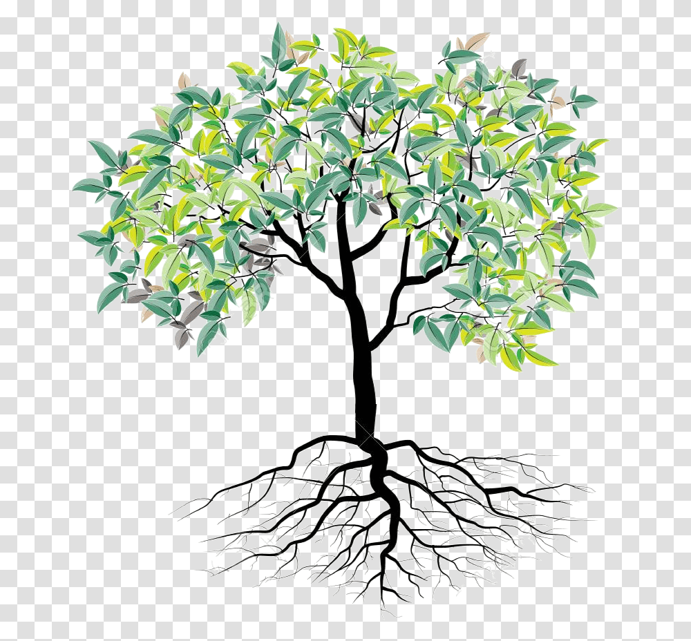 Faith Family And Roots Arbol De Problemas De La Drogadiccion, Plant, Tree Transparent Png