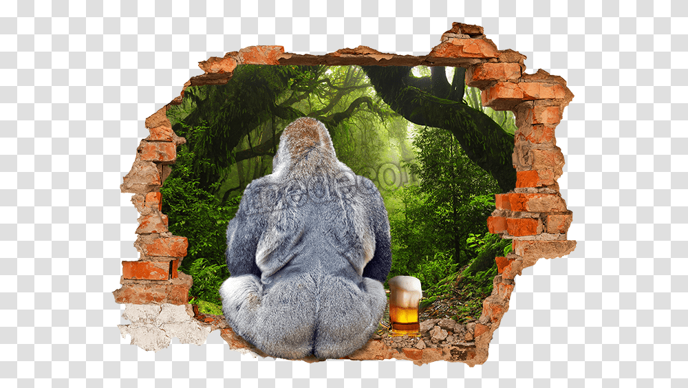 Fake Hole In The Wall, Bear, Wildlife, Mammal, Animal Transparent Png