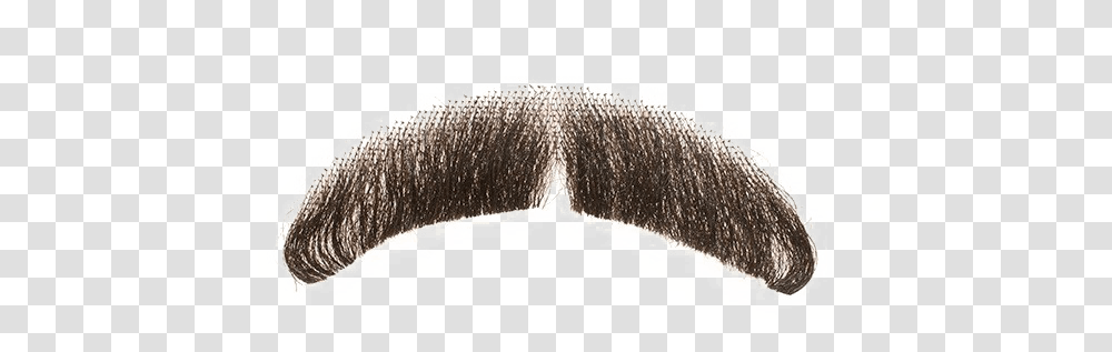 Fake Moustache Background Background Realistic Mustache, Brush, Tool Transparent Png