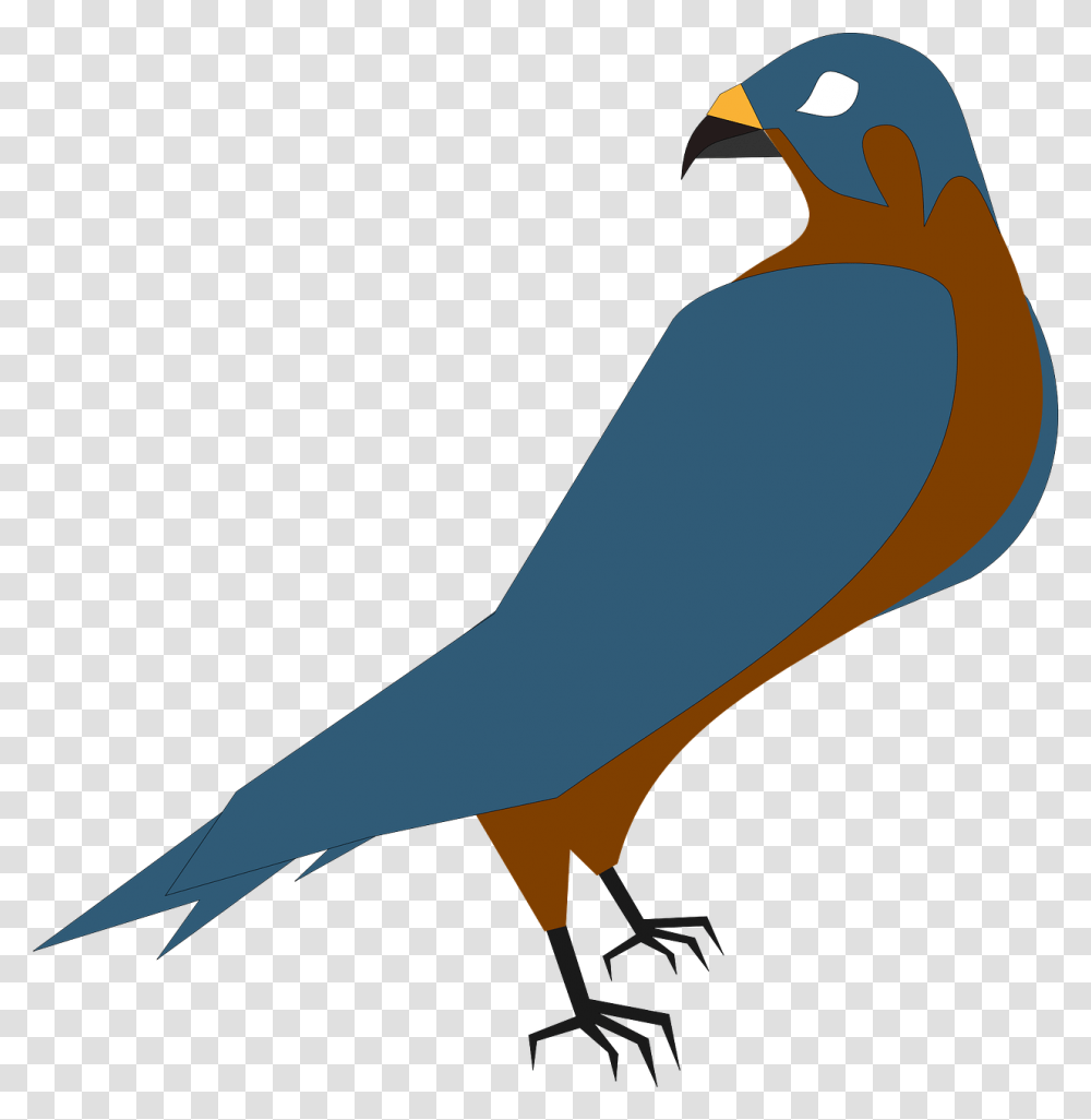 Falcon Bird Of Prey Free Vector Graphic On Pixabay Hawk Clip Art, Animal, Jay, Finch, Vulture Transparent Png
