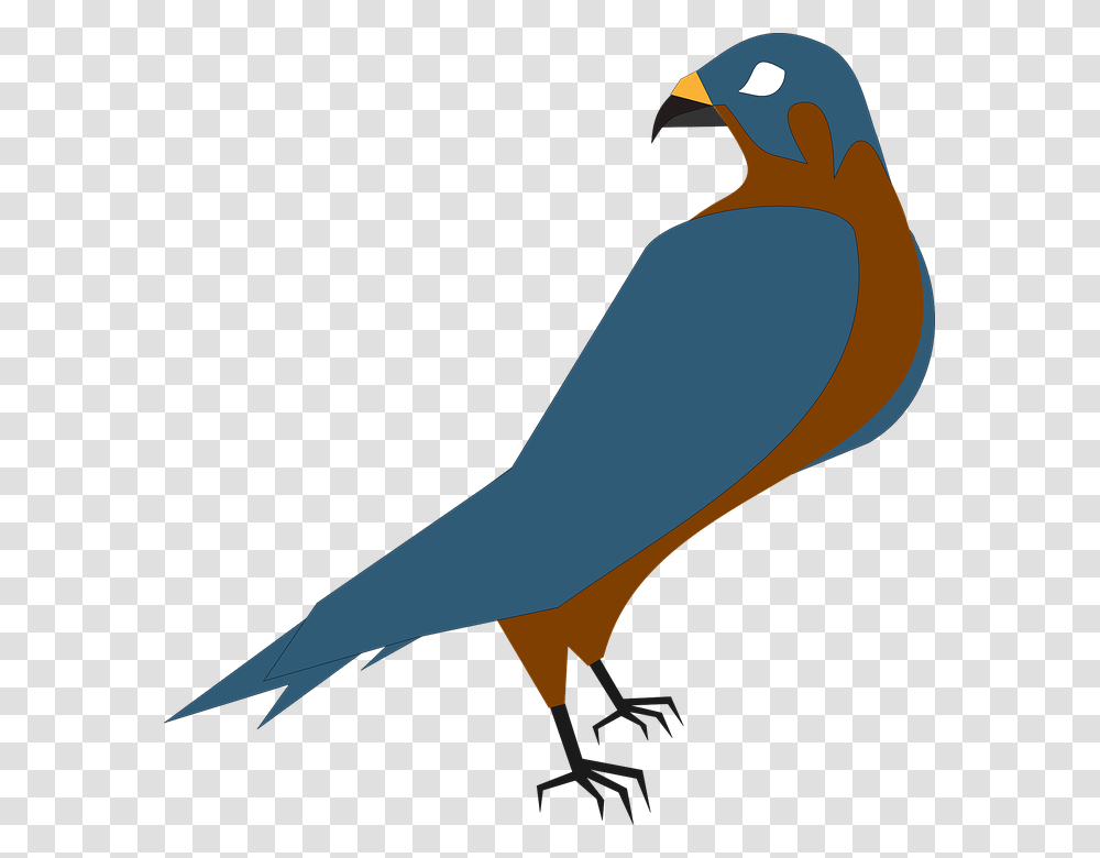 Falcon Clip Art, Bird, Animal, Jay, Finch Transparent Png