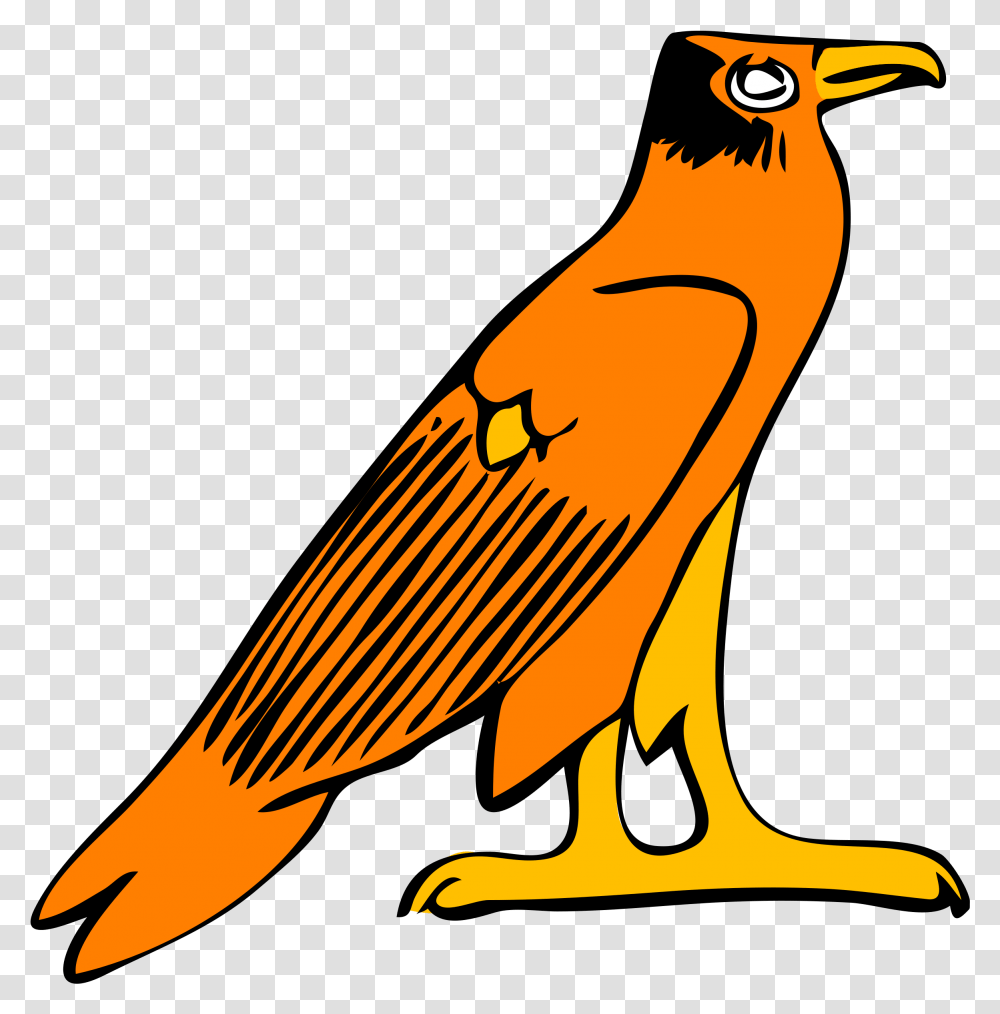 Falcon Clip Art Clipart Falcon, Bird, Animal, Logo Transparent Png