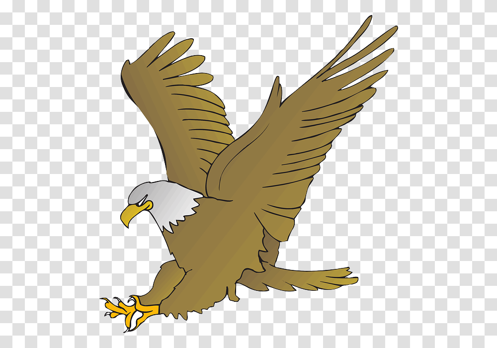 Falcon Clipart Agila, Eagle, Bird, Animal, Bald Eagle Transparent Png