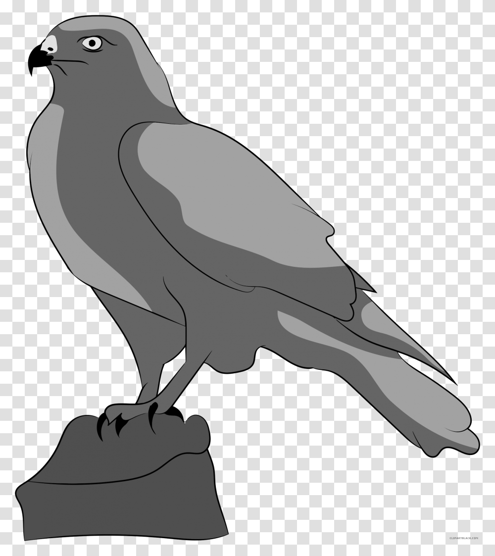 Falcon Clipart Falcon, Bird, Animal, Vulture, Blackbird Transparent Png