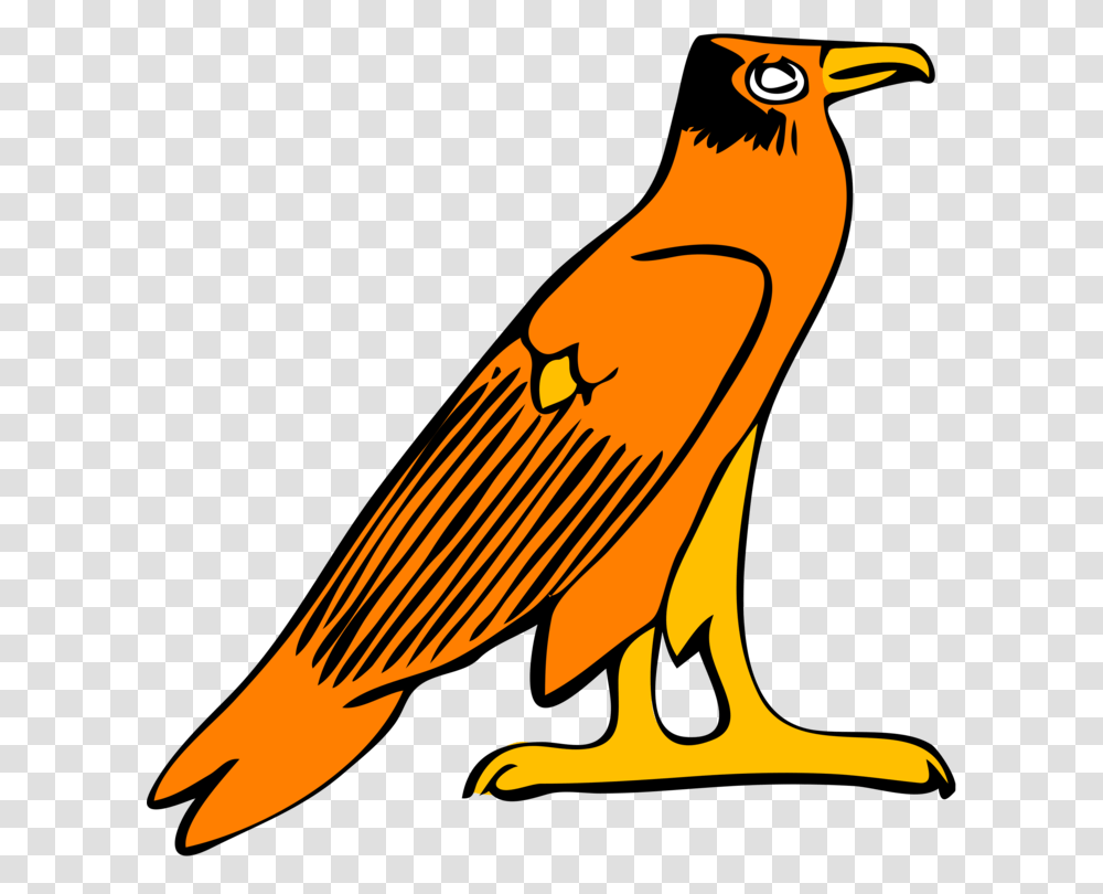 Falcon Eagle Computer Icons Hawk Download, Animal, Bird, Logo Transparent Png