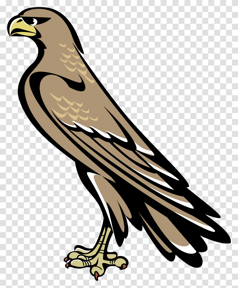 Falcon Falcon Symbol Coat Of Arms, Vulture, Bird, Animal, Beak Transparent Png