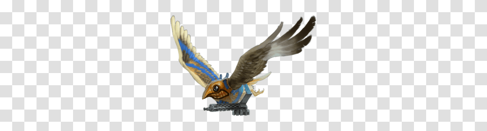 Falcon, Flying, Bird, Animal, Jay Transparent Png