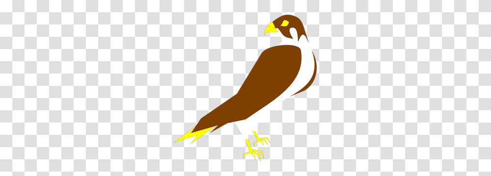 Falcon Images Icon Cliparts, Bird, Animal, Hawk, Eagle Transparent Png