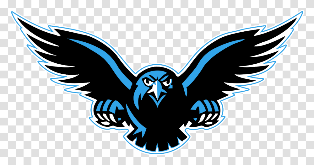 Falcon Logo Vector Northumberland Nighthawks, Smoke Pipe, Bird, Animal, Symbol Transparent Png