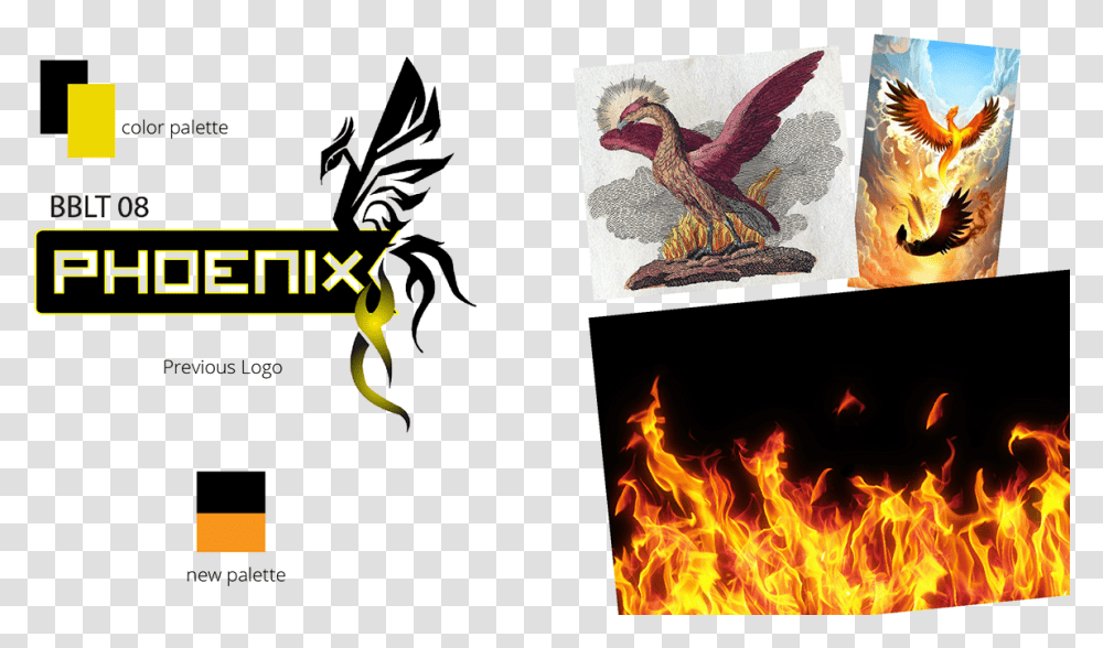 Falconiformes, Bird, Animal, Vulture, Bonfire Transparent Png