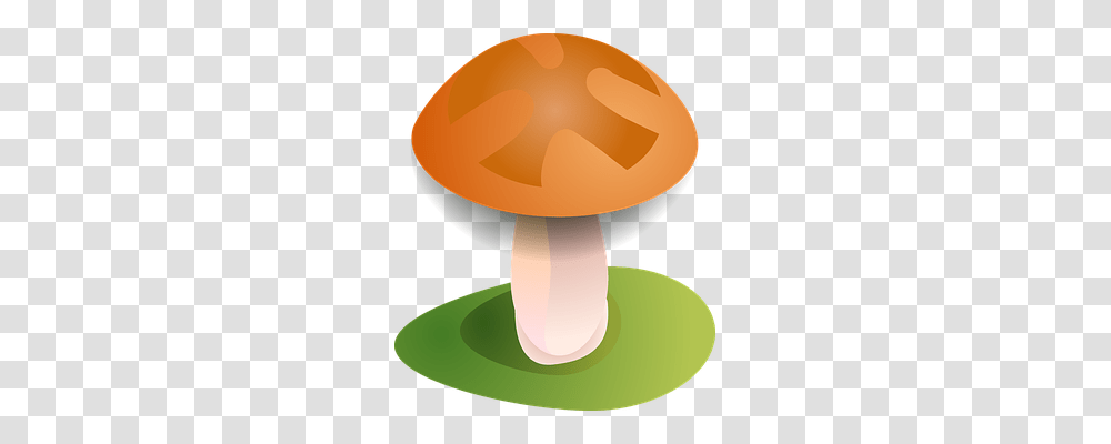 Fall Nature, Plant, Lamp, Amanita Transparent Png