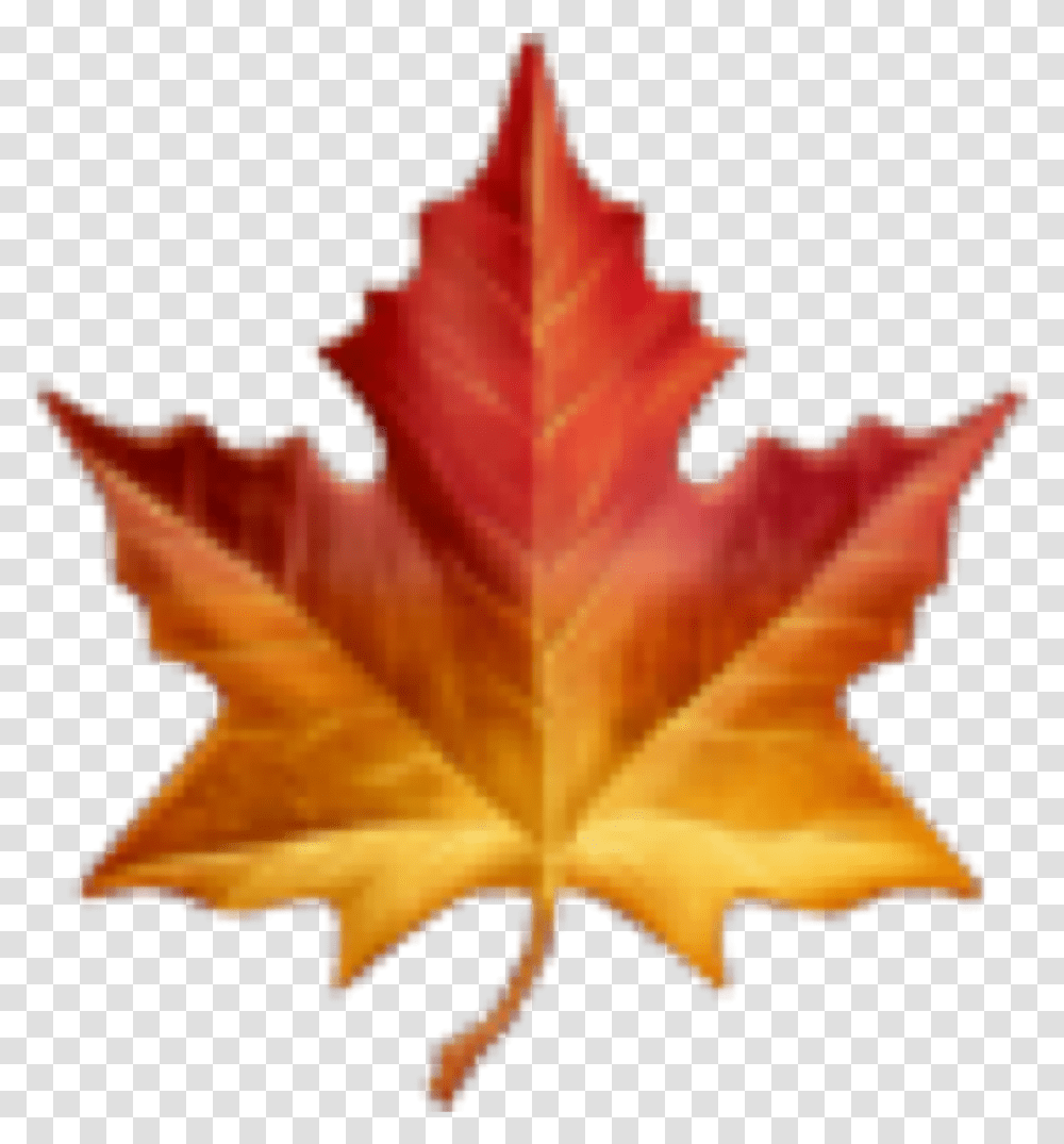 Fall Autumn Emoji Leaf Sticker By Thank U Maple Leaf Emoji, Plant, Tree Transparent Png