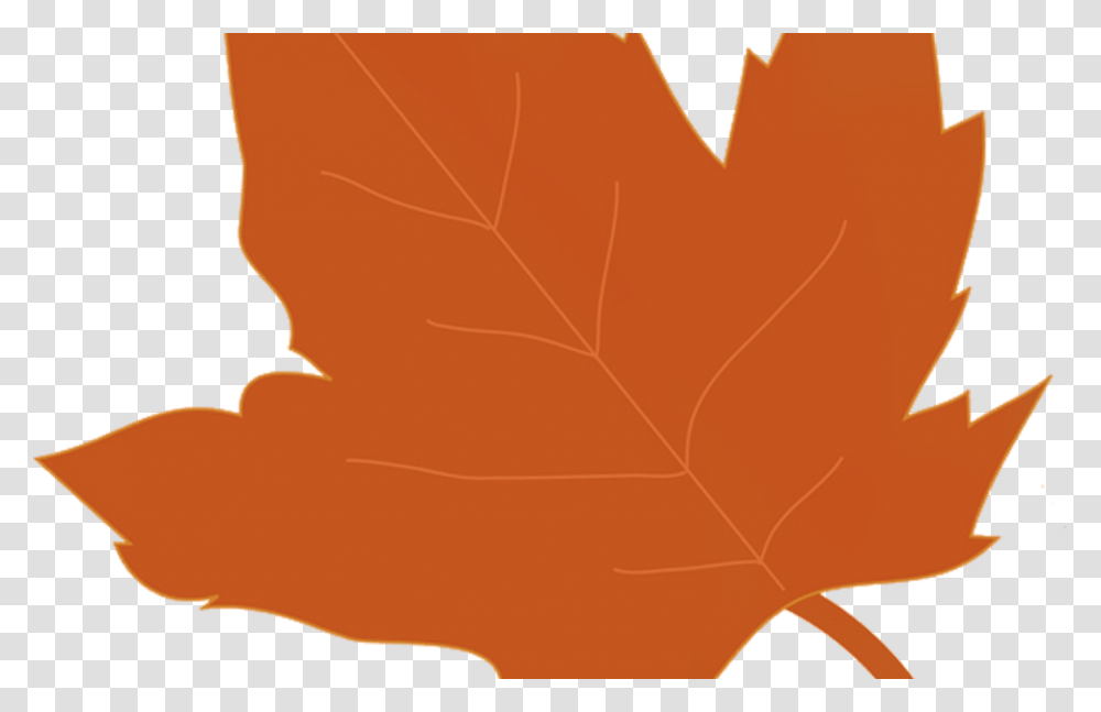 Fall Back Clip Art Thanksgiving Hot Trending Now, Leaf, Plant, Tree, Maple Transparent Png