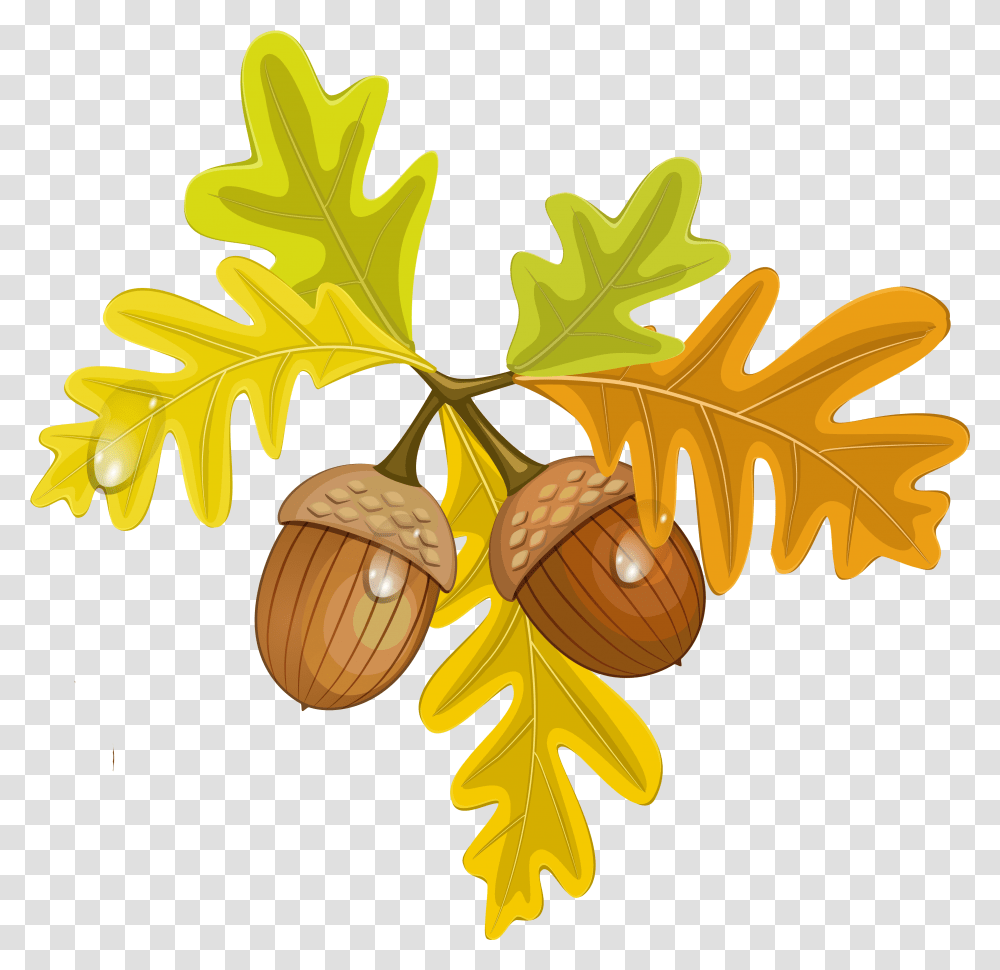 Fall Background Oak Leaf Clipart, Plant, Seed, Grain, Produce Transparent Png