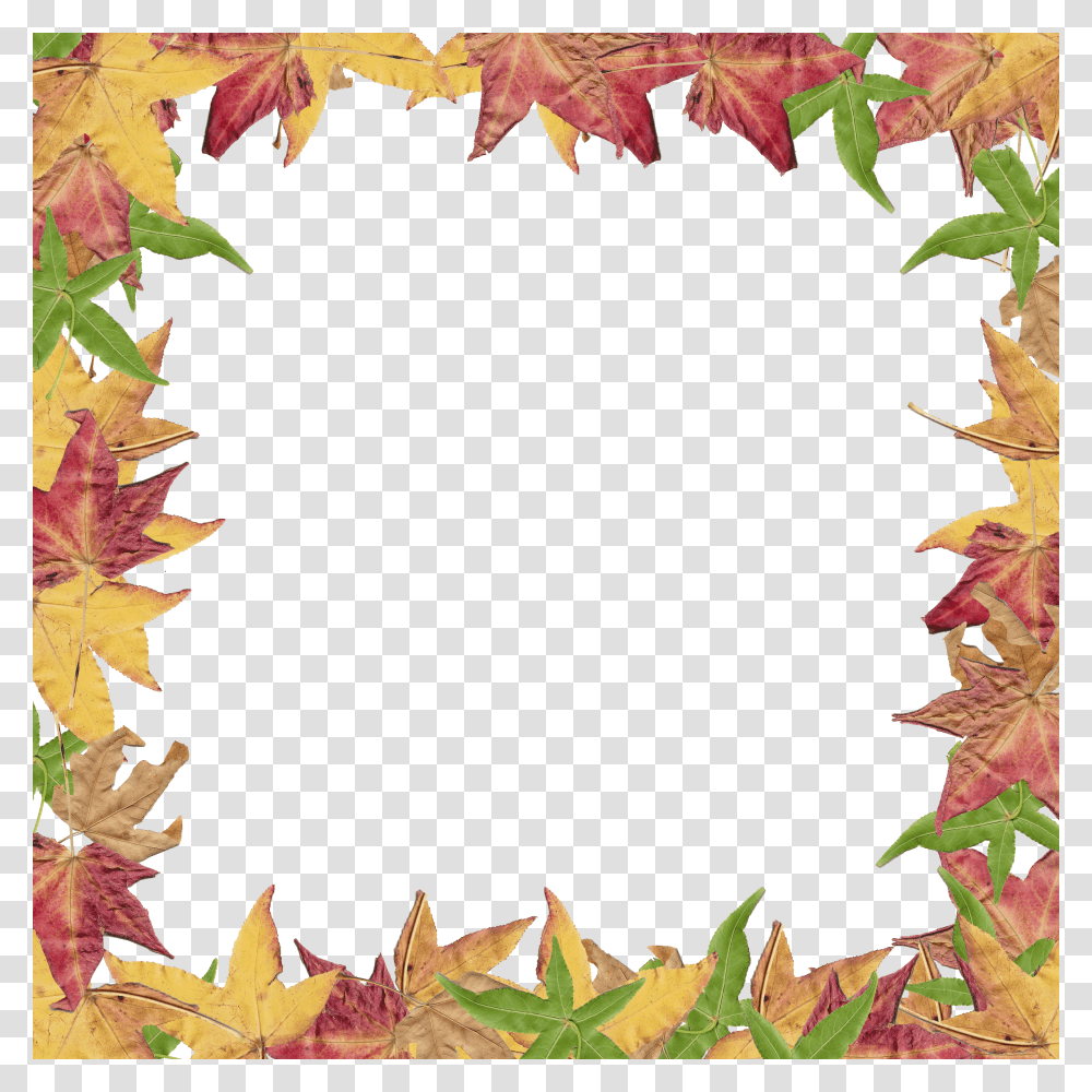 Fall Border Clipart, Leaf, Plant, Tree, Maple Transparent Png
