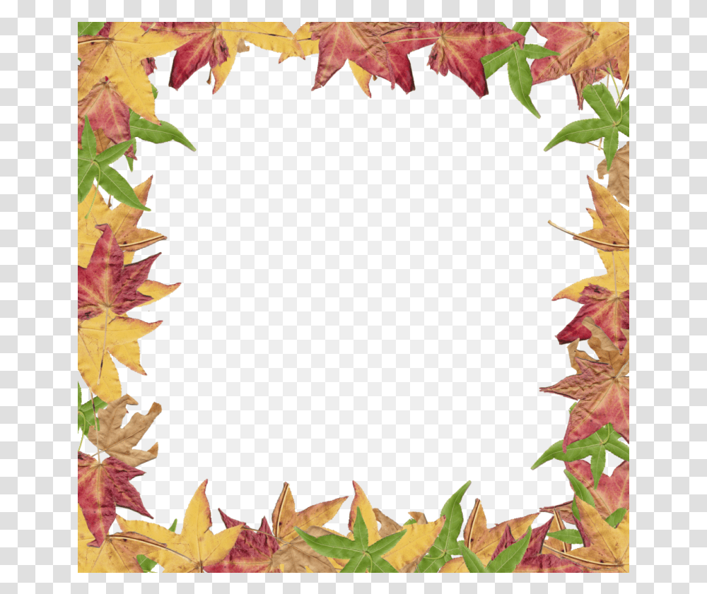 Fall Border Free Borders Clipart Leaves Clip Art Football Get Well Soon Quotes Bible, Leaf, Plant, Maple Leaf, Tree Transparent Png
