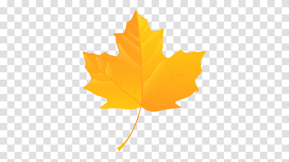 Fall Clip Art Art, Leaf, Plant, Maple Leaf, Tree Transparent Png