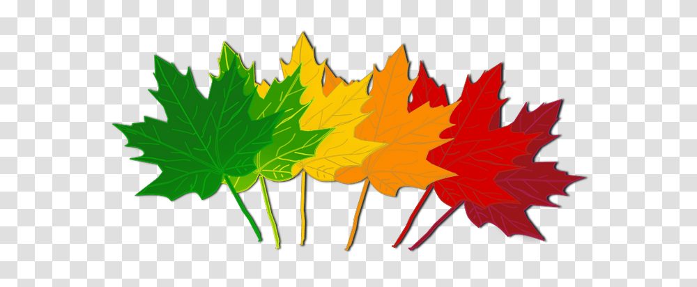 Fall Clip Art Images Free, Leaf, Plant, Tree, Maple Transparent Png