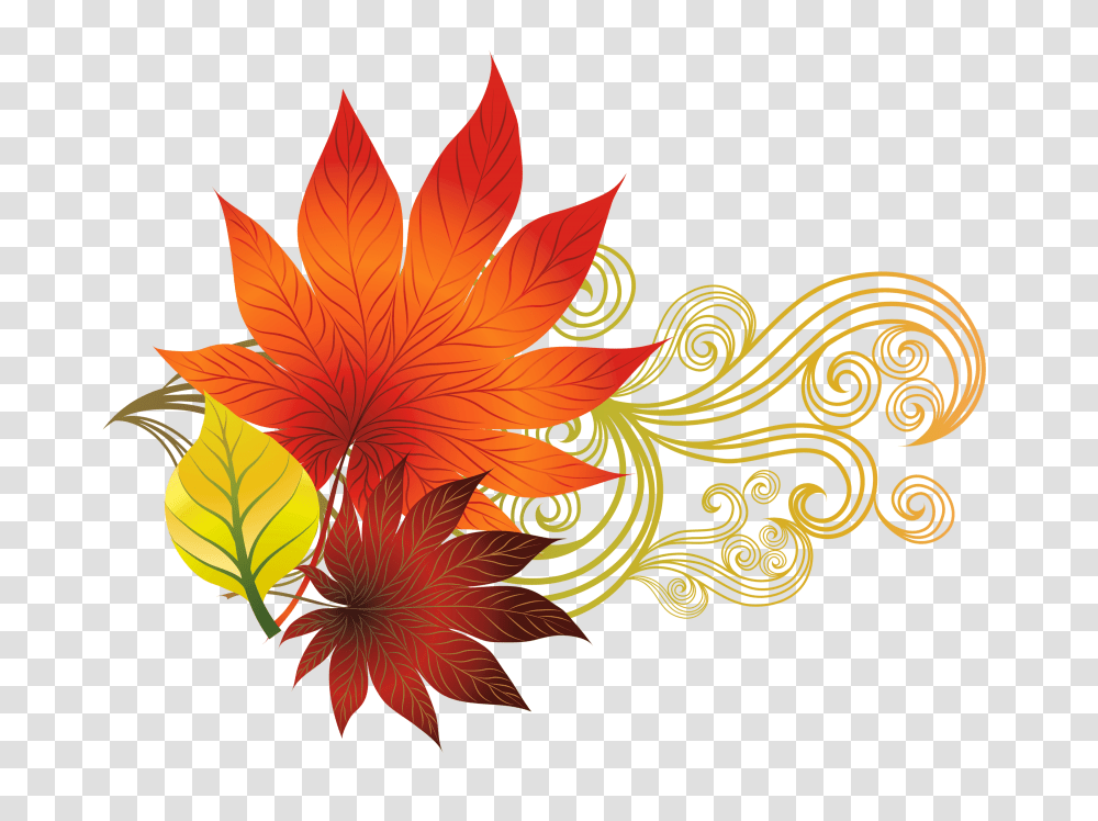 Fall Clip Art Images, Leaf, Plant, Maple Leaf, Flower Transparent Png