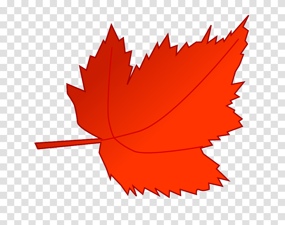 Fall Clip Art Images, Leaf, Plant, Tree, Maple Leaf Transparent Png