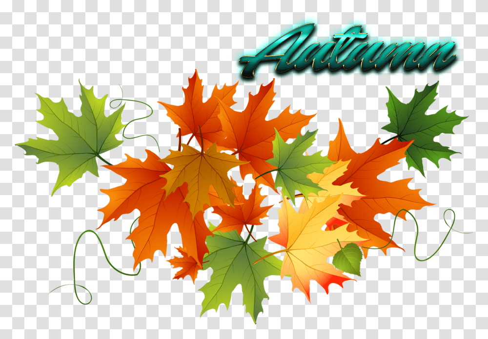 Fall Clipart Background, Leaf, Plant, Tree, Maple Leaf Transparent Png