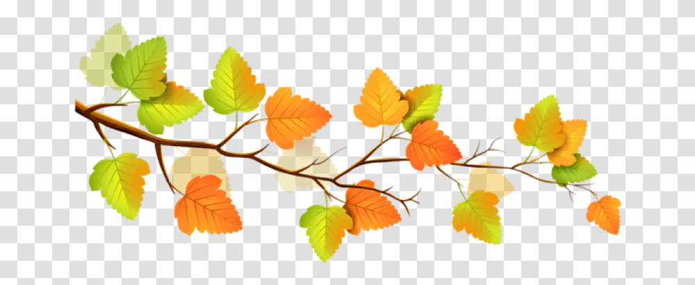 Fall Clipart Branch, Leaf, Plant, Veins, Tree Transparent Png