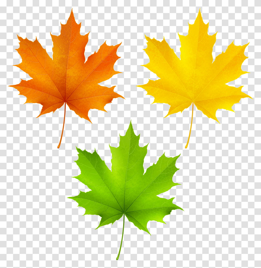 Fall Clipart Leaf Falling Leaves Transparent Png