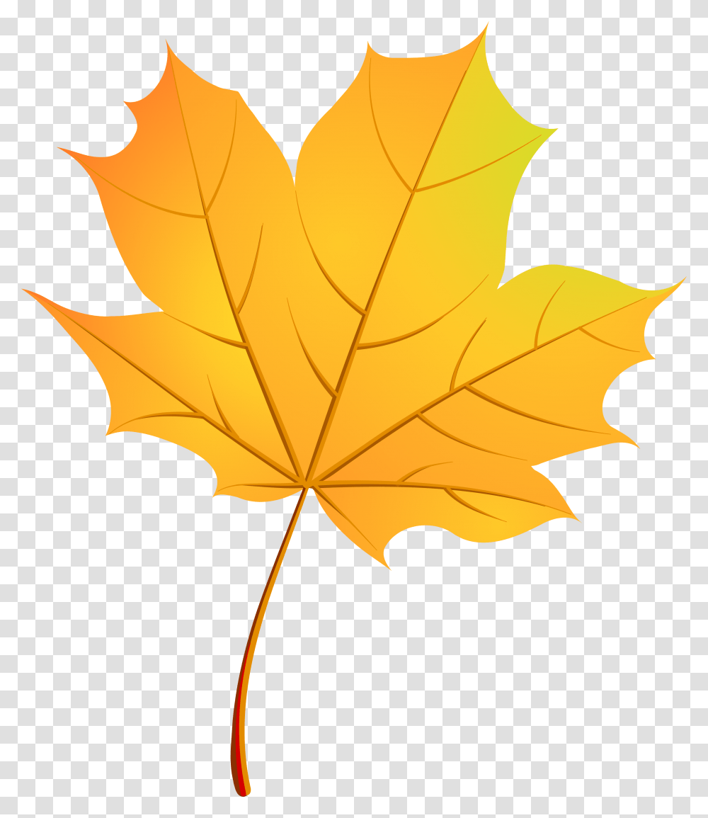 Fall Clipart Leaf Pattern Autumn Leaf Vector, Plant, Maple Leaf, Tree Transparent Png